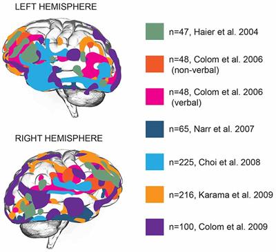 Frontiers | Genes, Cells And Brain Areas Of Intelligence